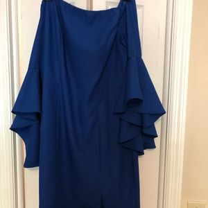 Royal Blue bell sleeve dress.